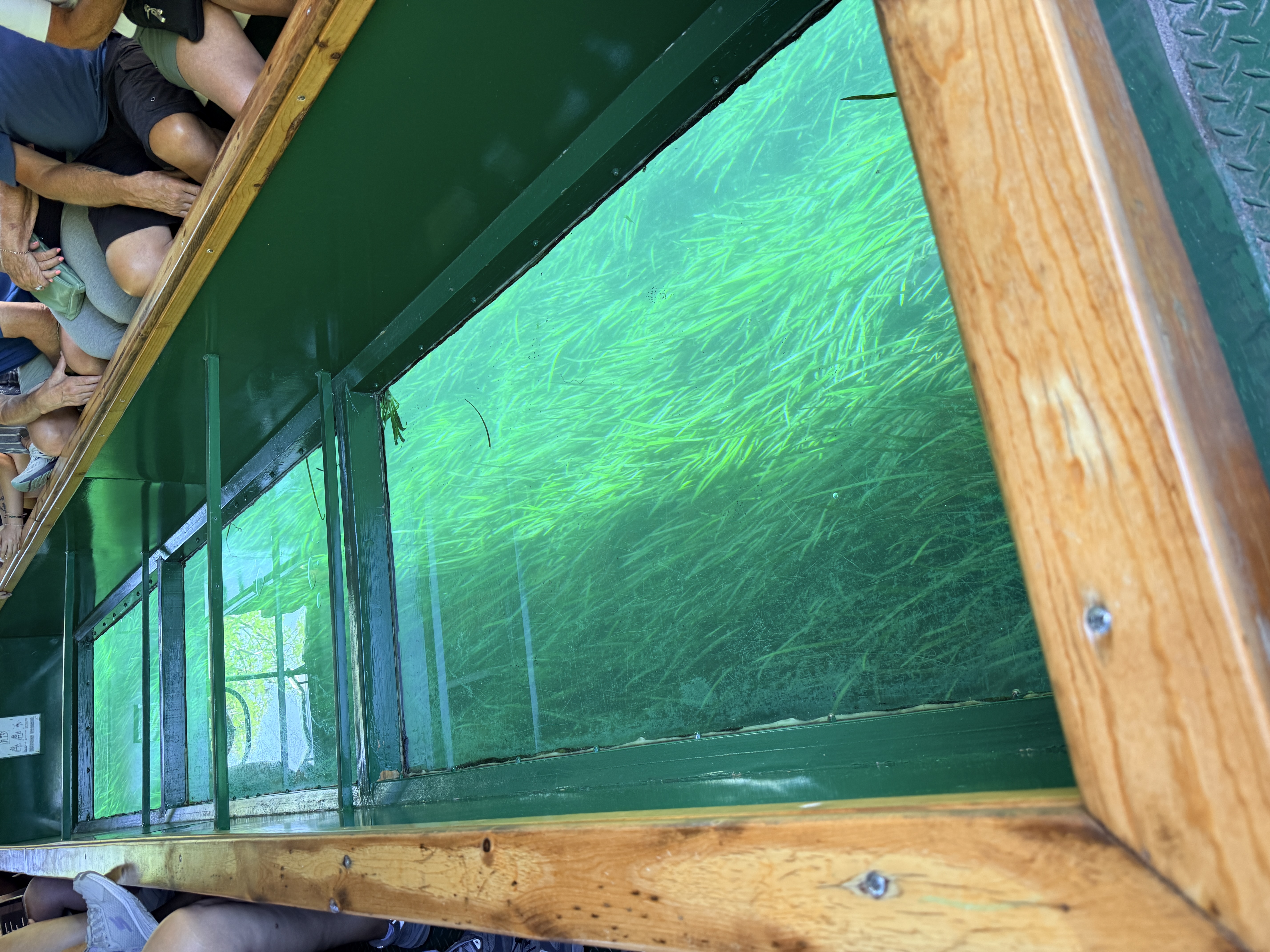 Glass Bottom Boat Tour at Silver Springs State Park