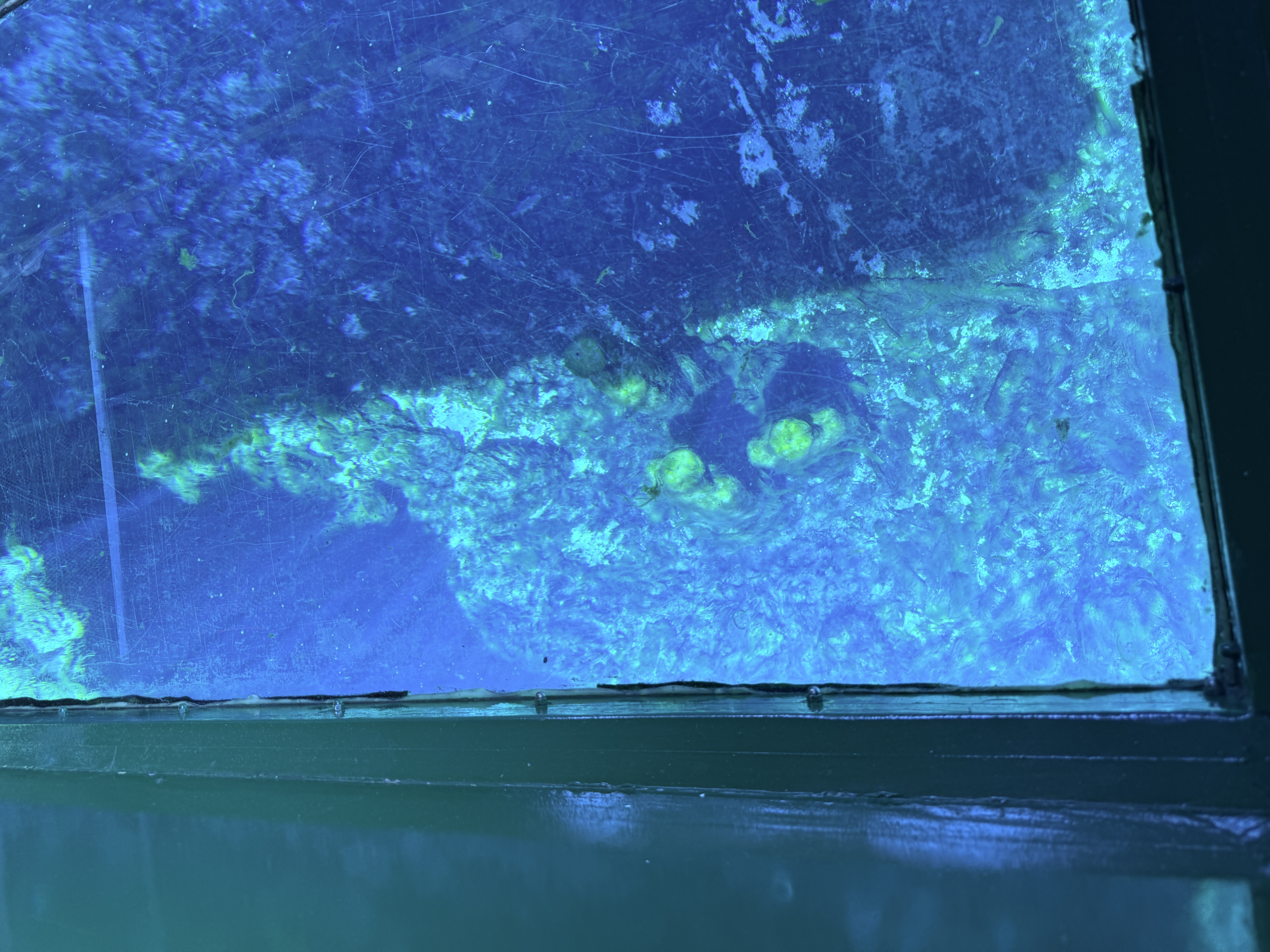 Underwater Statues at Silver Springs State Park