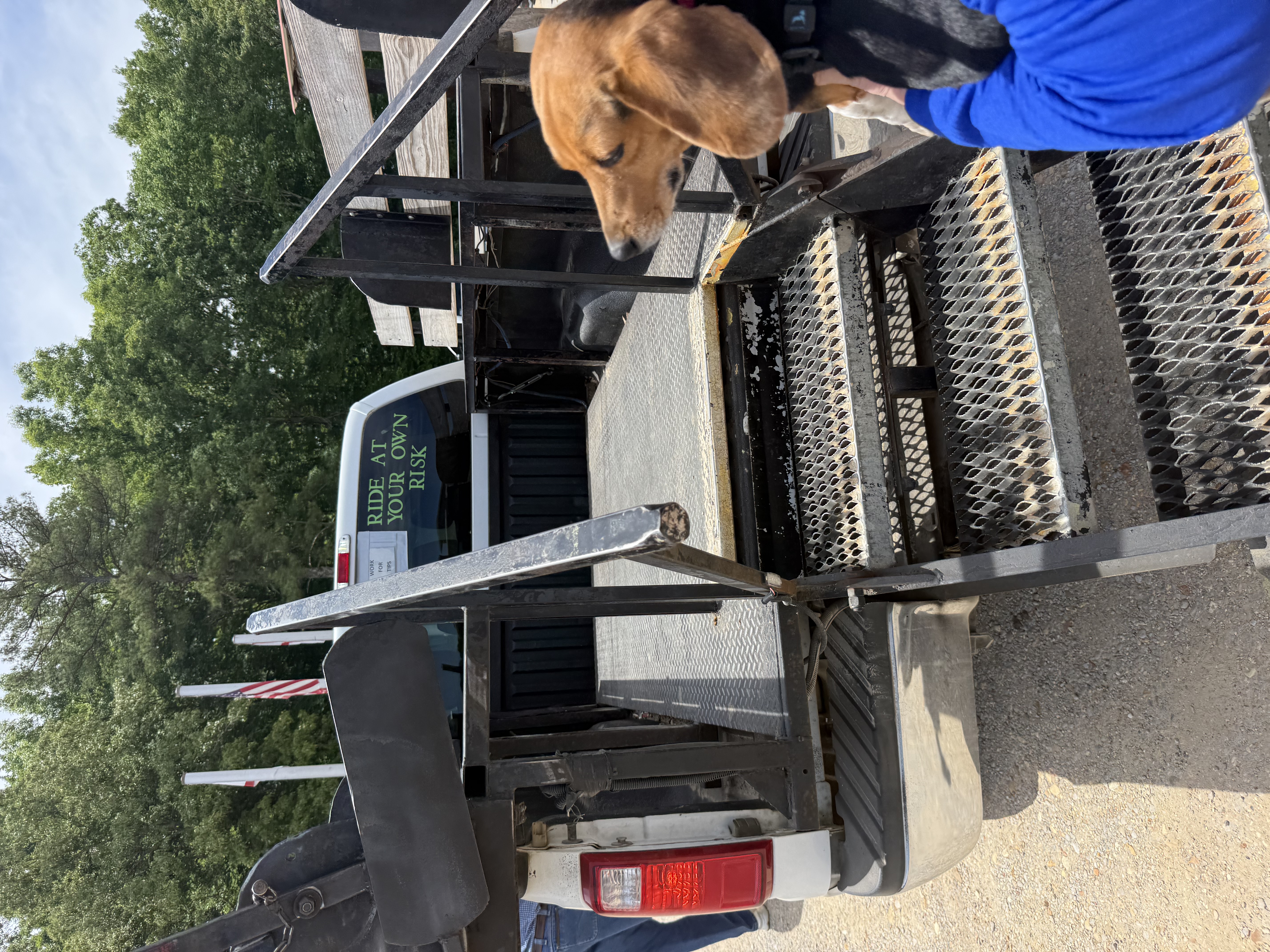 Rattlesnake Saloon Taxi