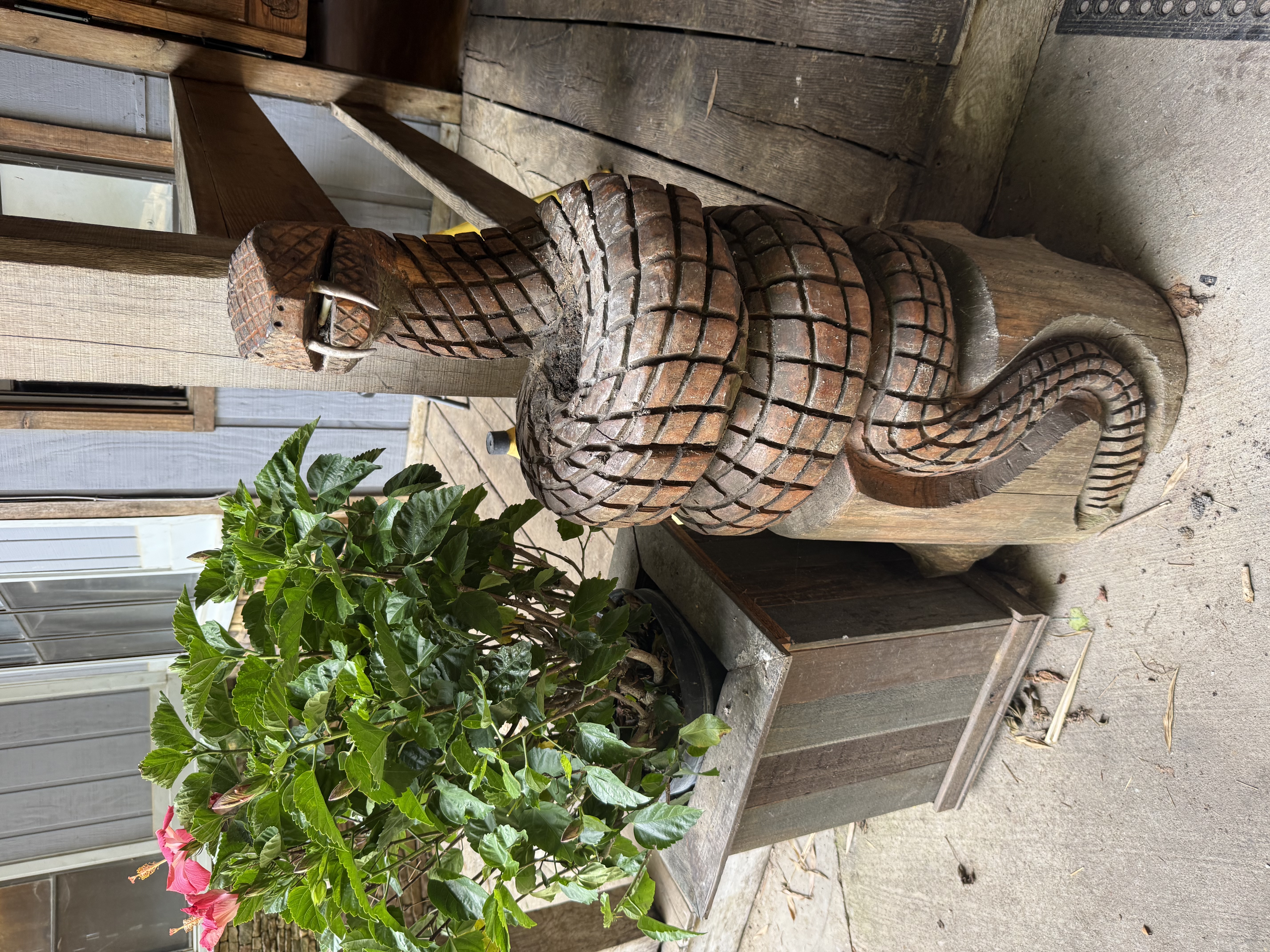 Rattlesnake Carving at the Rattlesnake Saloon