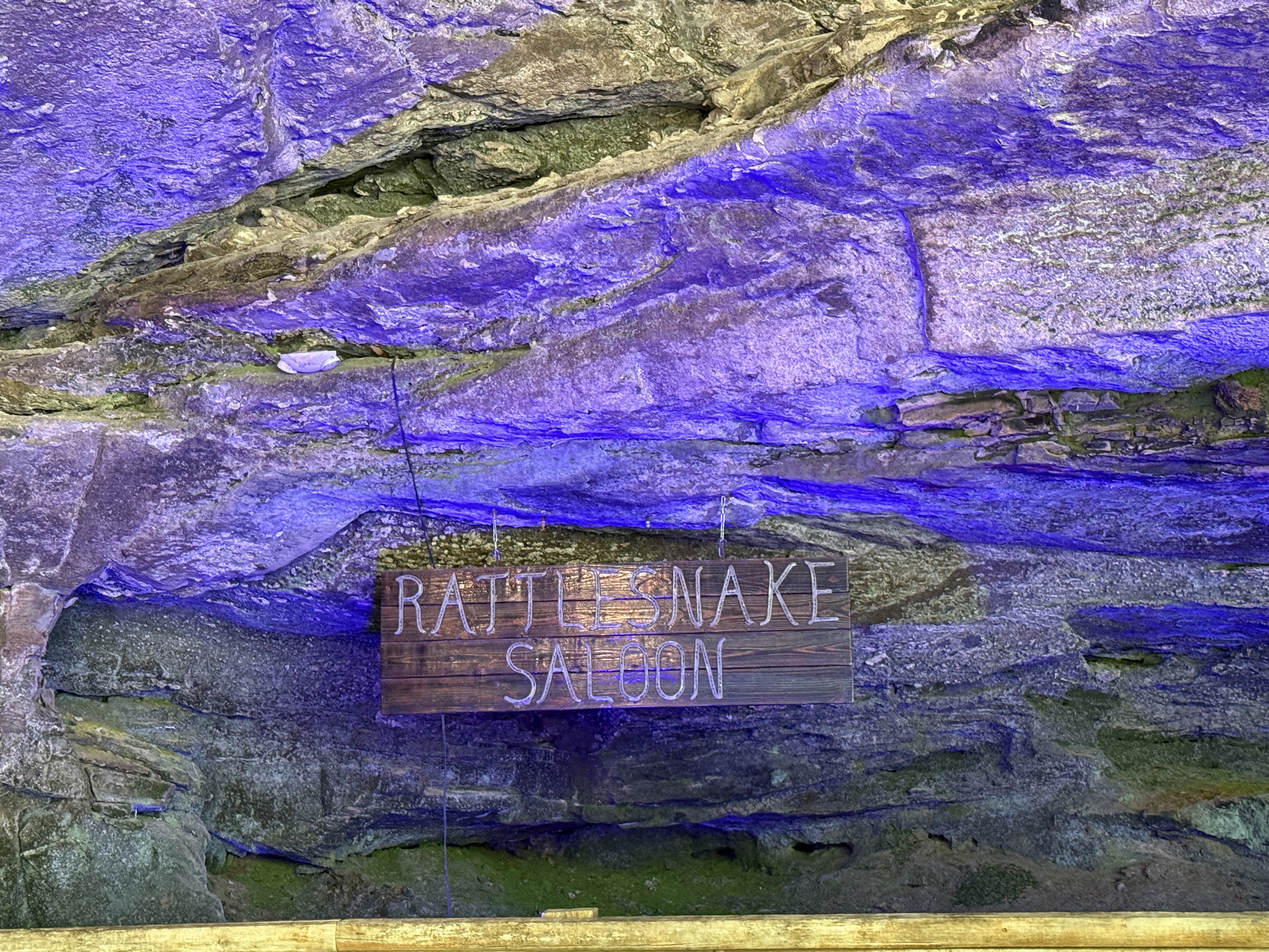 Rattlesnake Saloon Sign with neon lighting