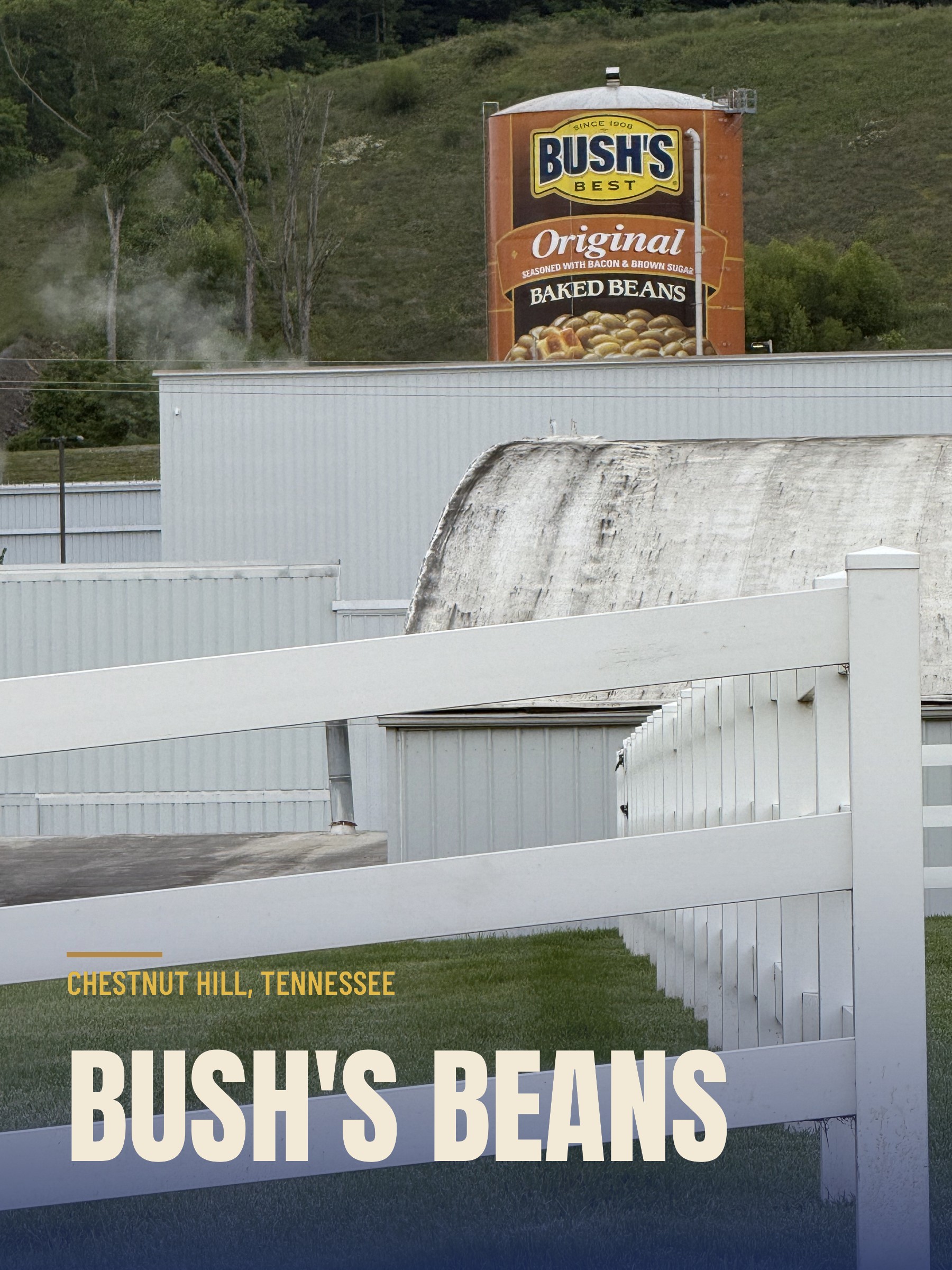 Bush's Beans Water Tower over factory