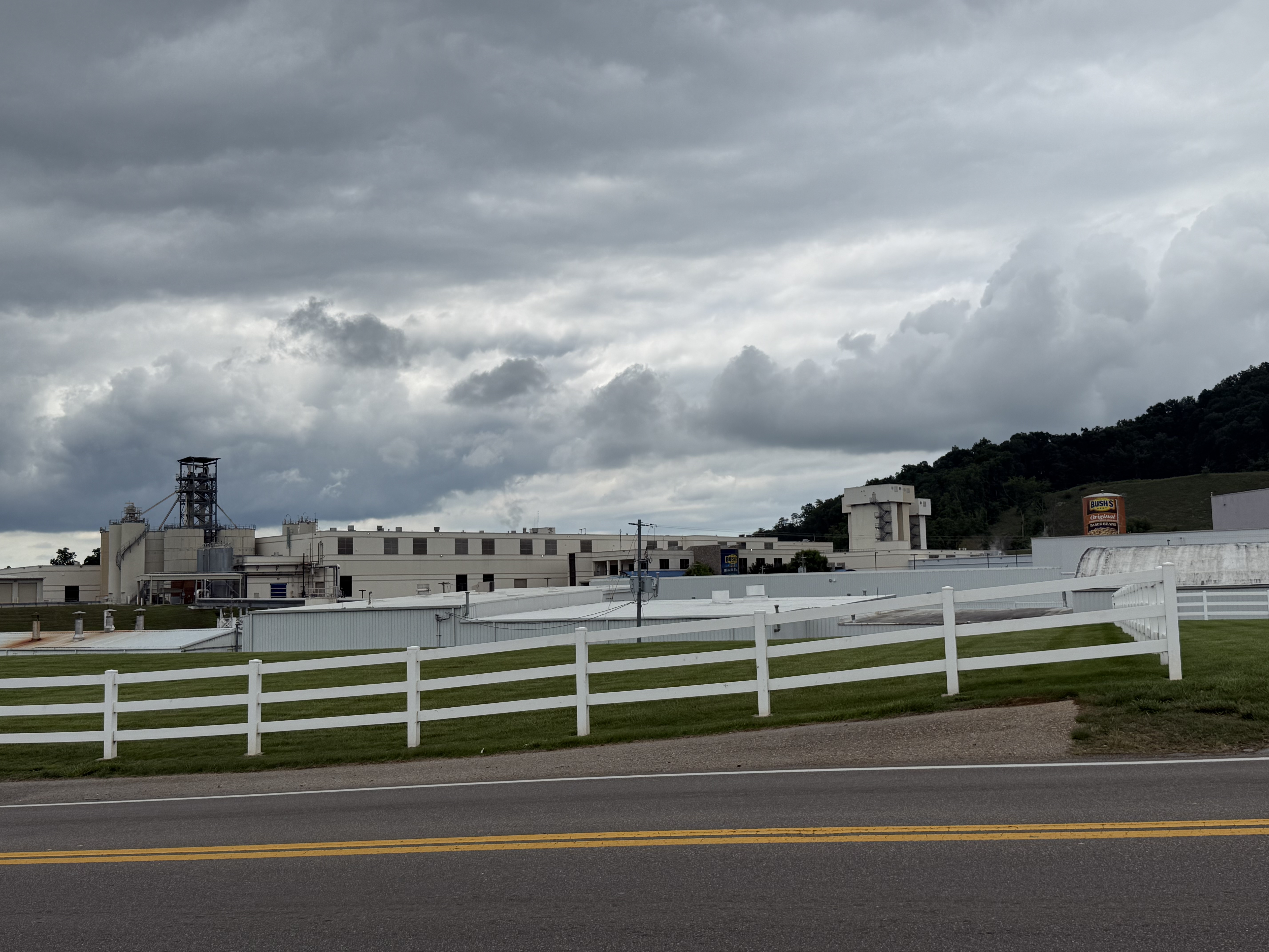 The Bush Brothers canning plant across the road in Chestnut Hill, the giant Bush's can visible above the rooflines, seen over a white fence.