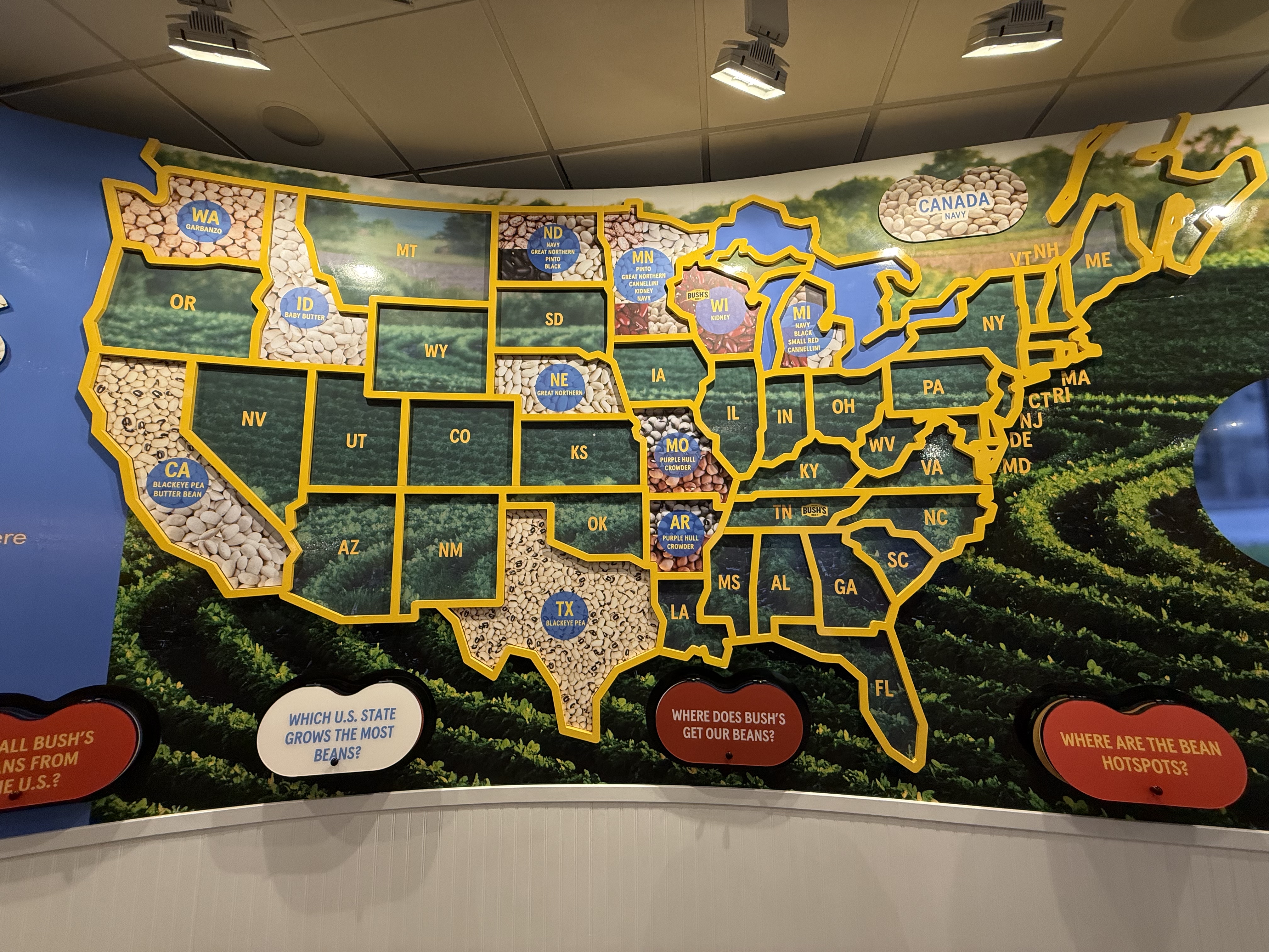 A museum map wall showing which beans Bush's sources from each U.S. state, with real beans set into each state outline.