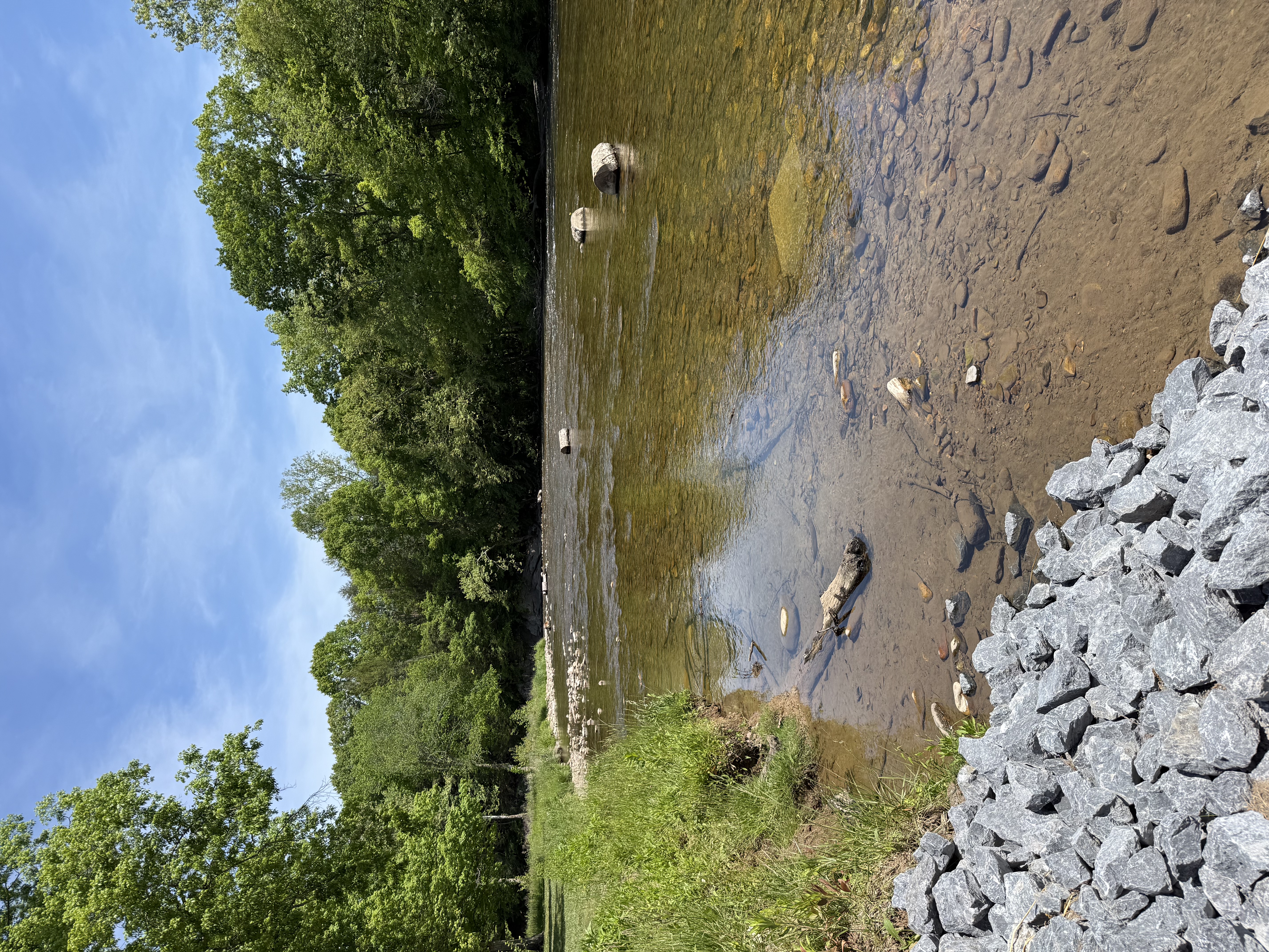 South Fork of the Holston River by Alvarado Station