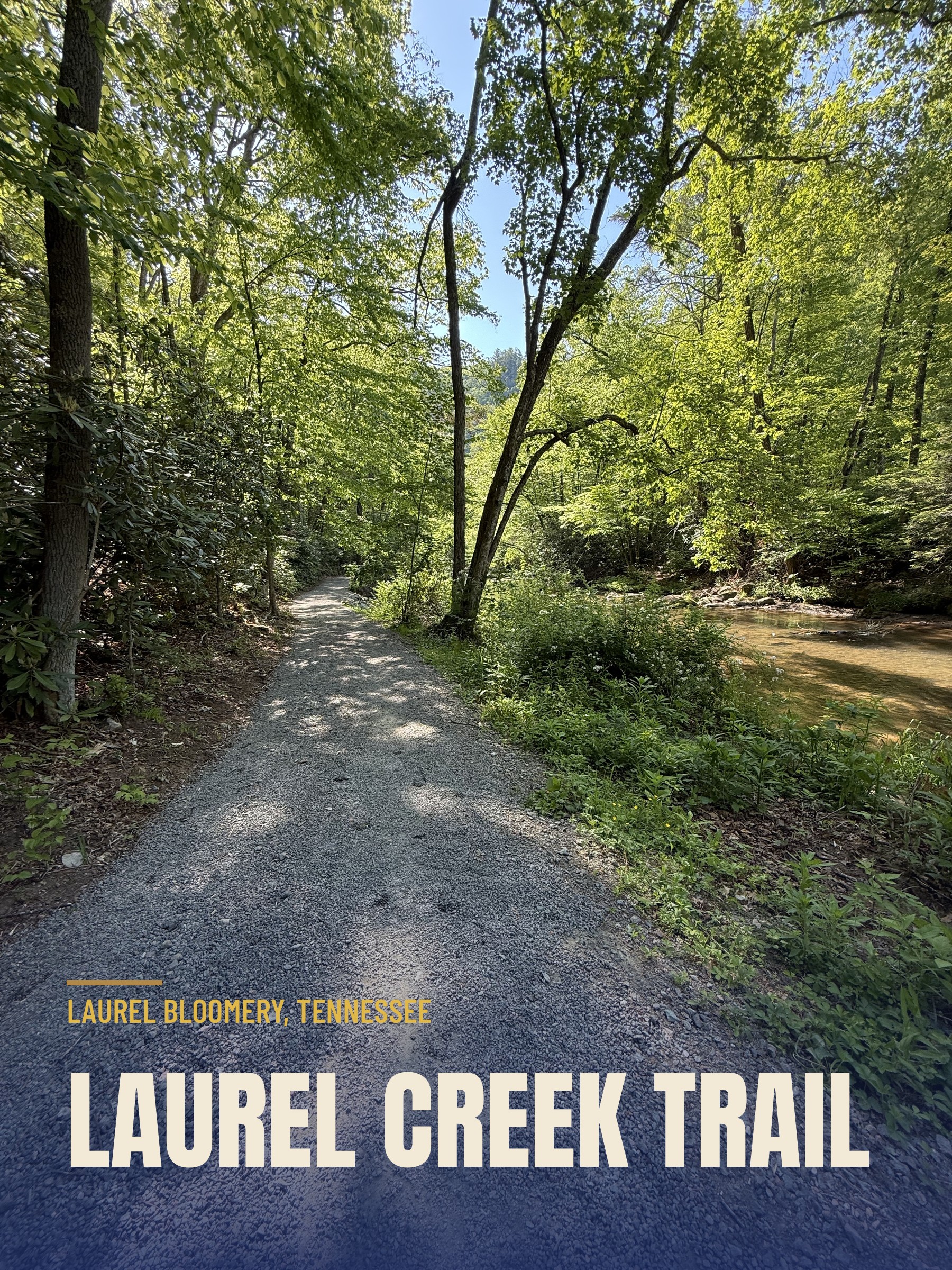 Laurel Creek Trail: A Short Hike Worth Taking