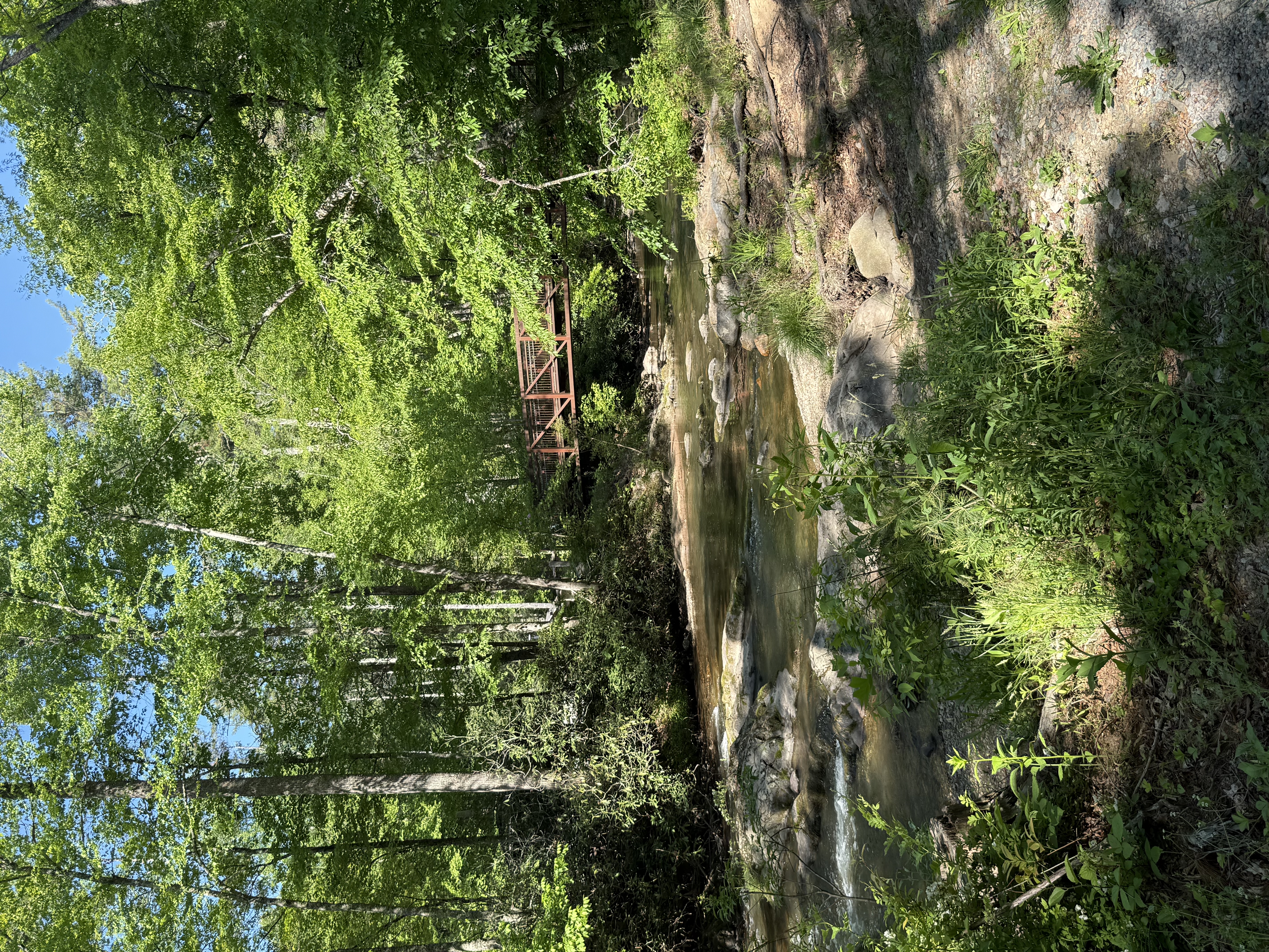 Laurel Creek trail bridge over creek