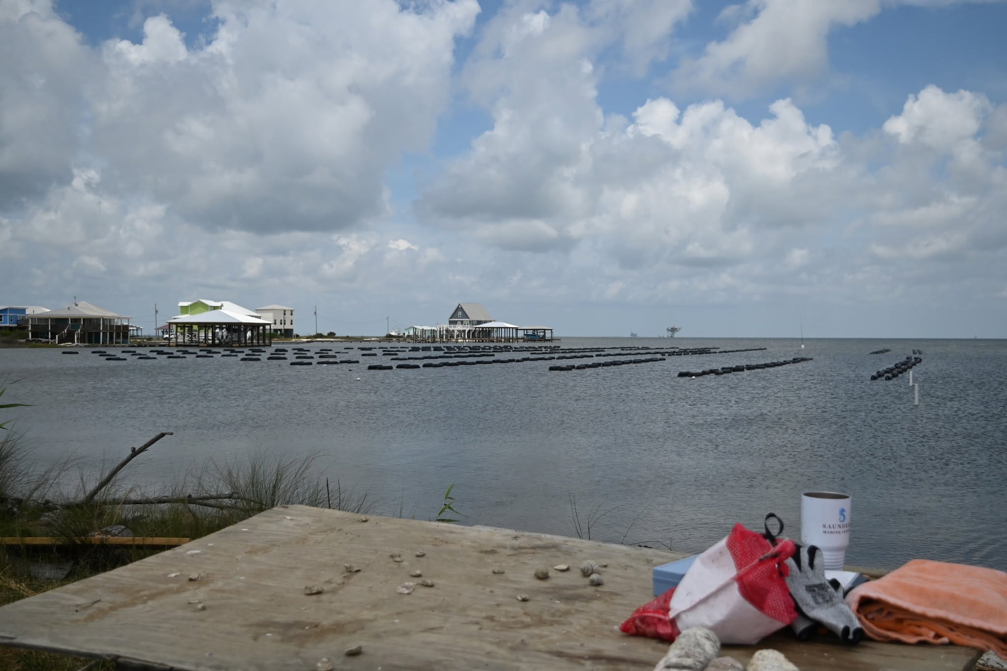 Navy Cove Oyster Farm, Fort Morgan, AL Navy Cove Oyster Farm