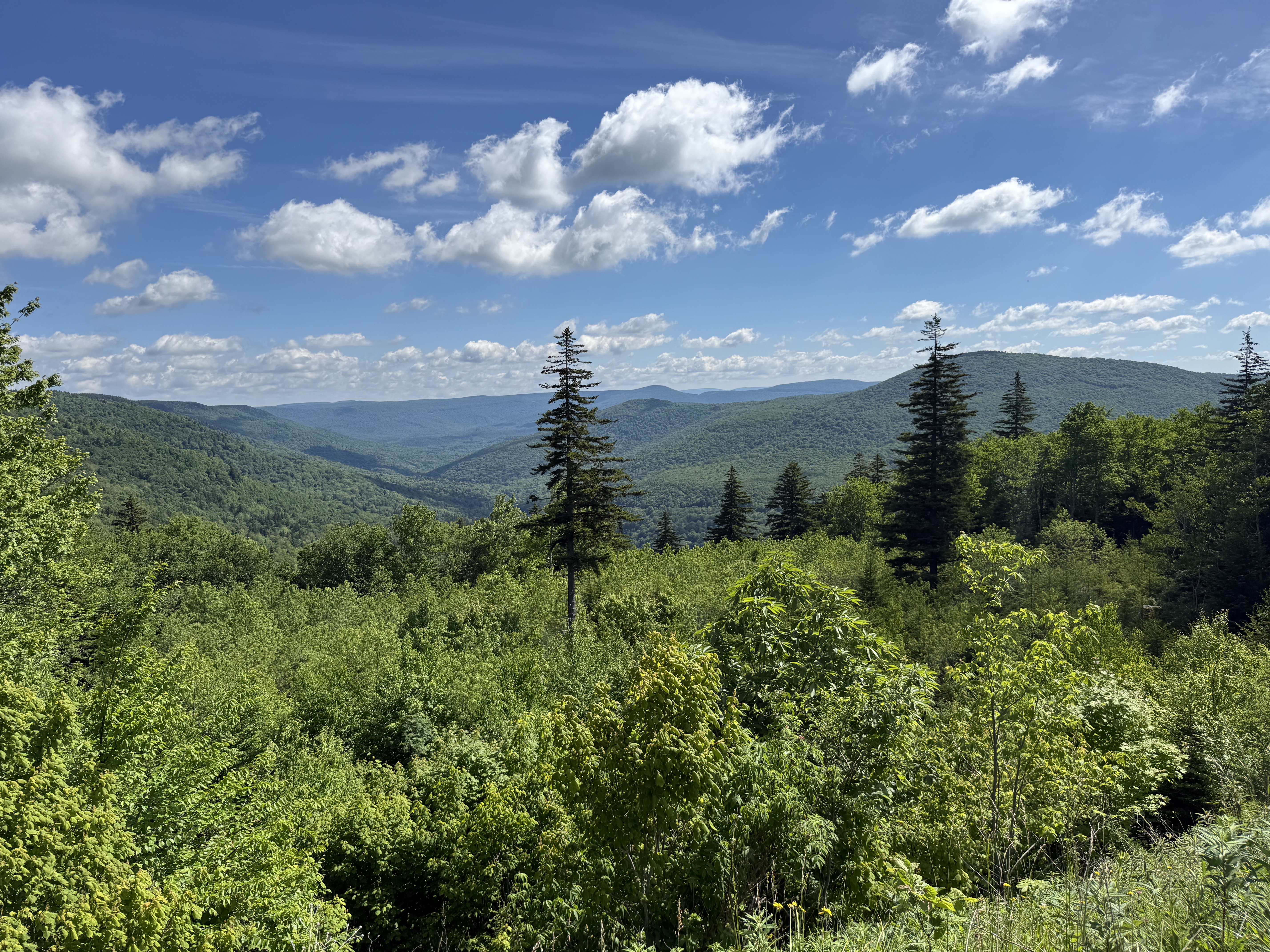 Overlook along Highlands Scenic Highway