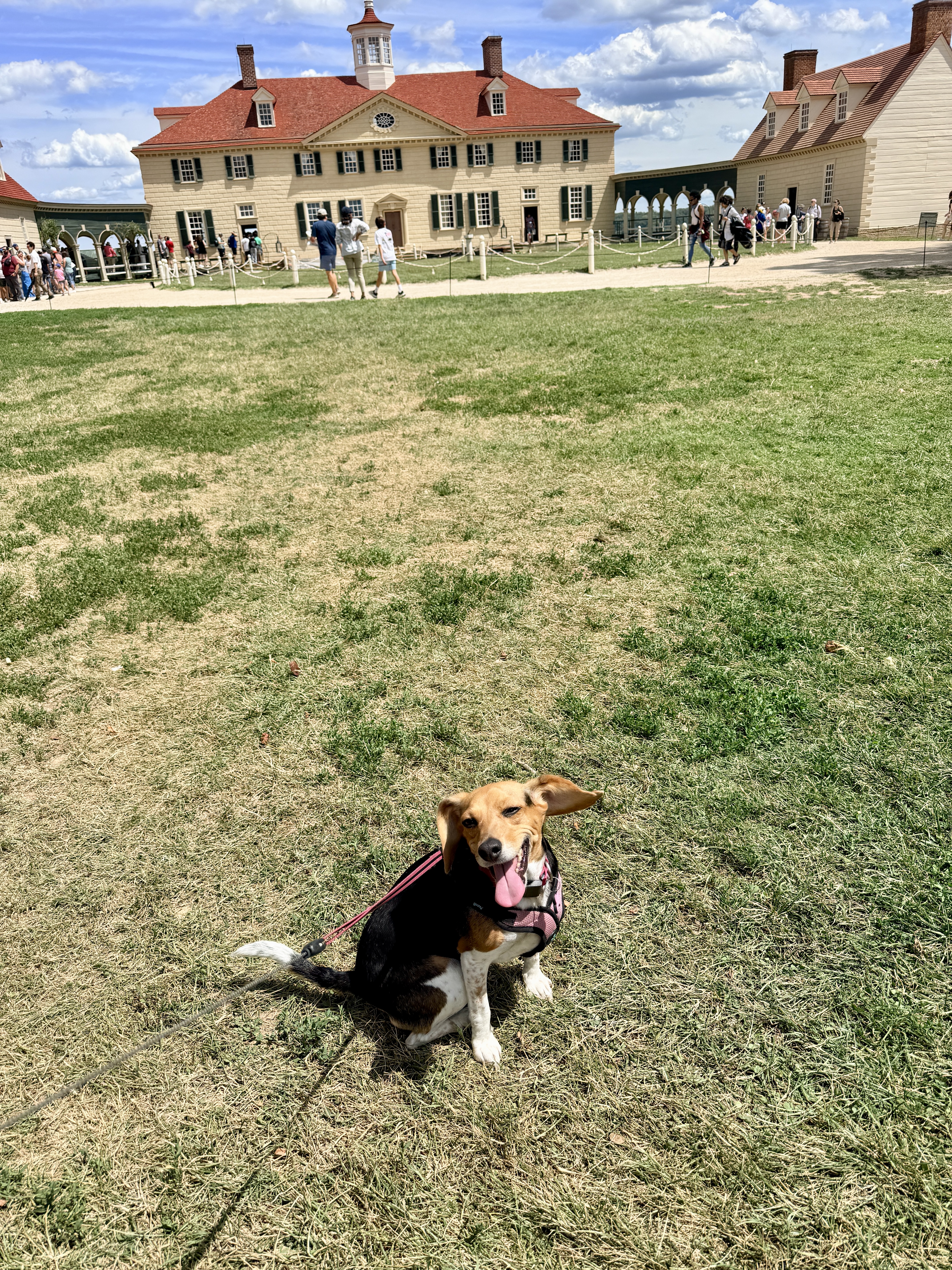 Juneaux loves Mount Vernon Juneaux at Mount Vernon