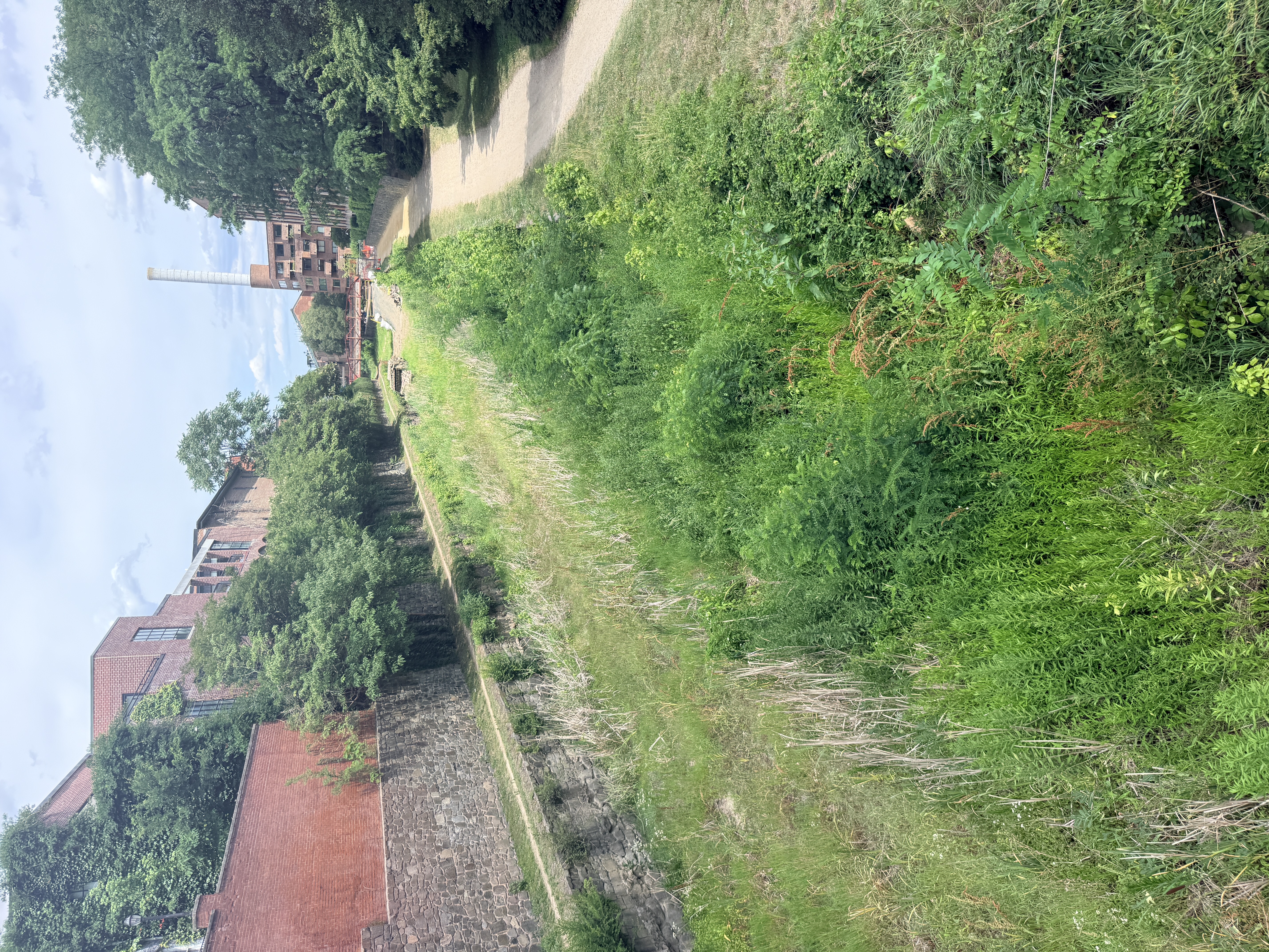 C&O Canal and the historic towpath running along beside it.  
