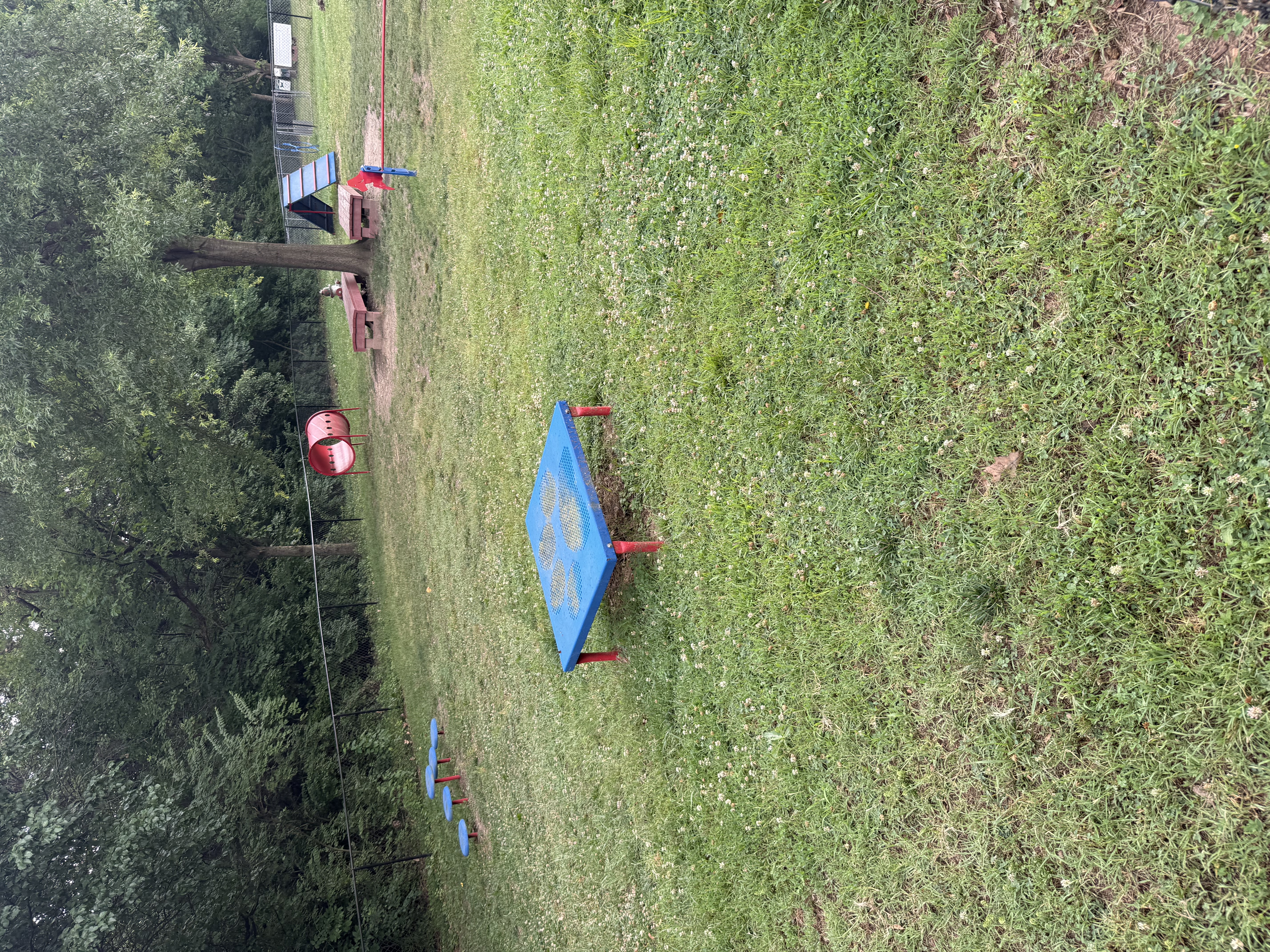 Agility Dog Park at Cherry Hill Park