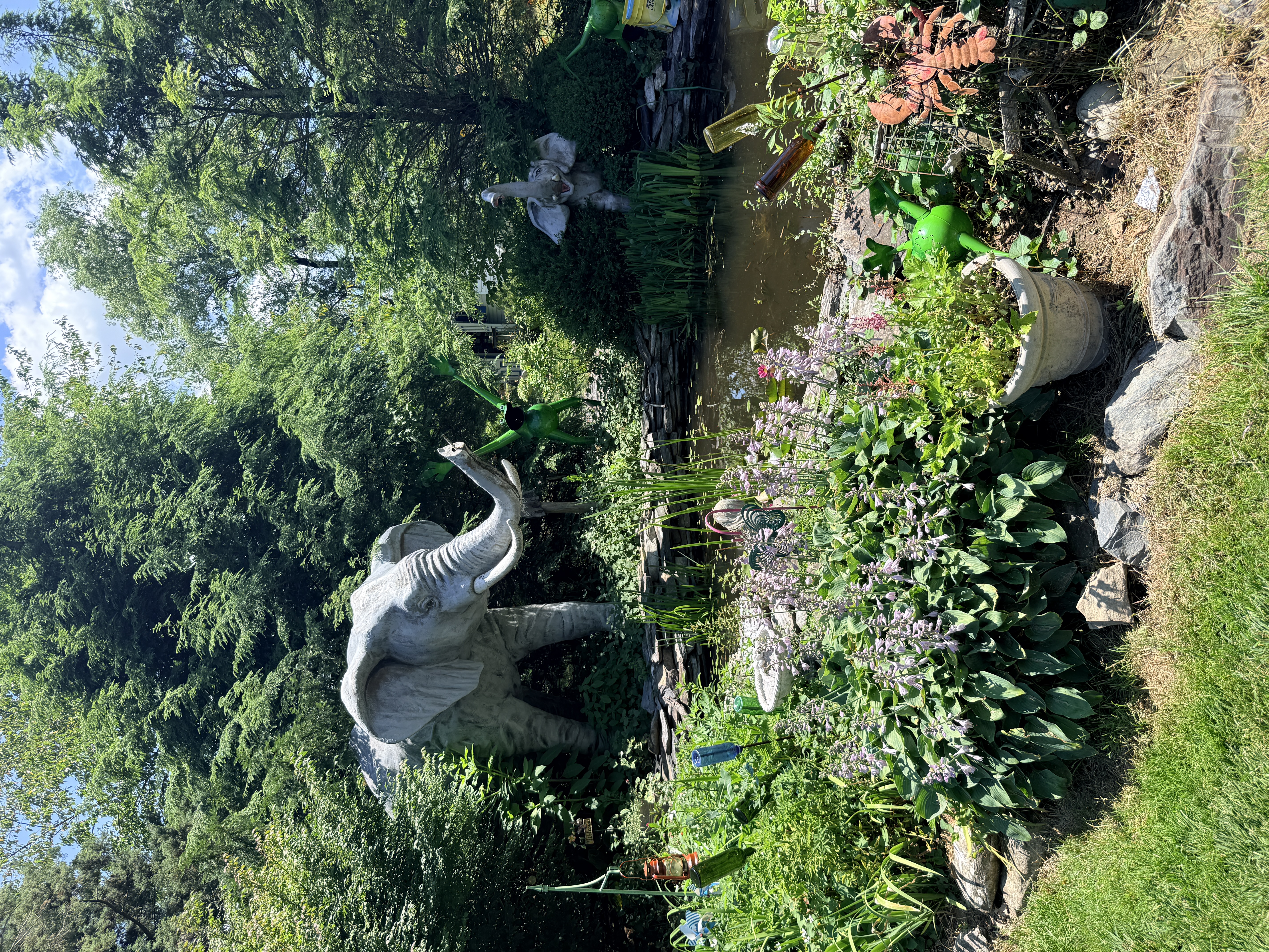 Elephant in the outdoor gardens at Mister Ed's