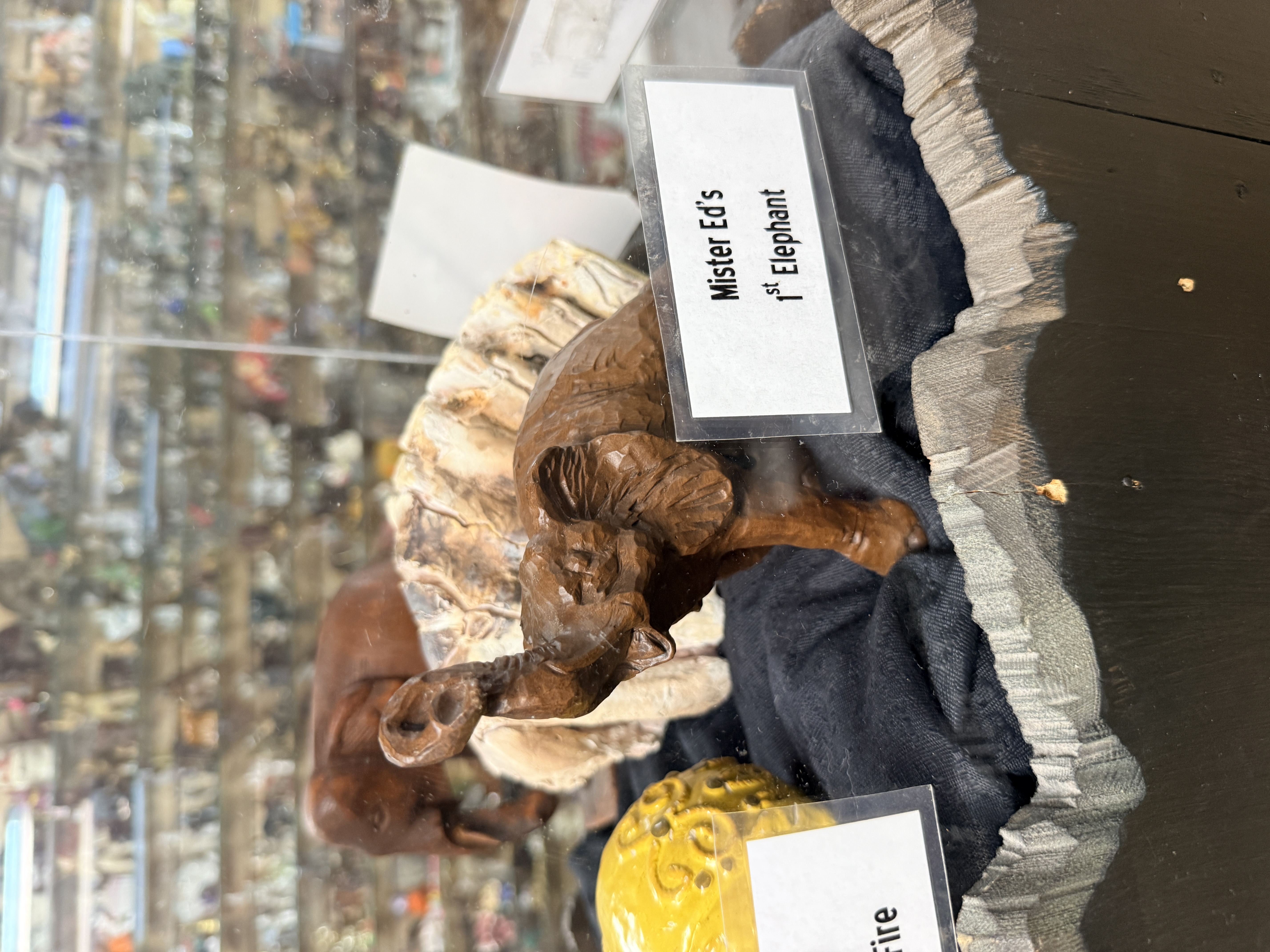 Mister Ed's first elephant of more than 12,000