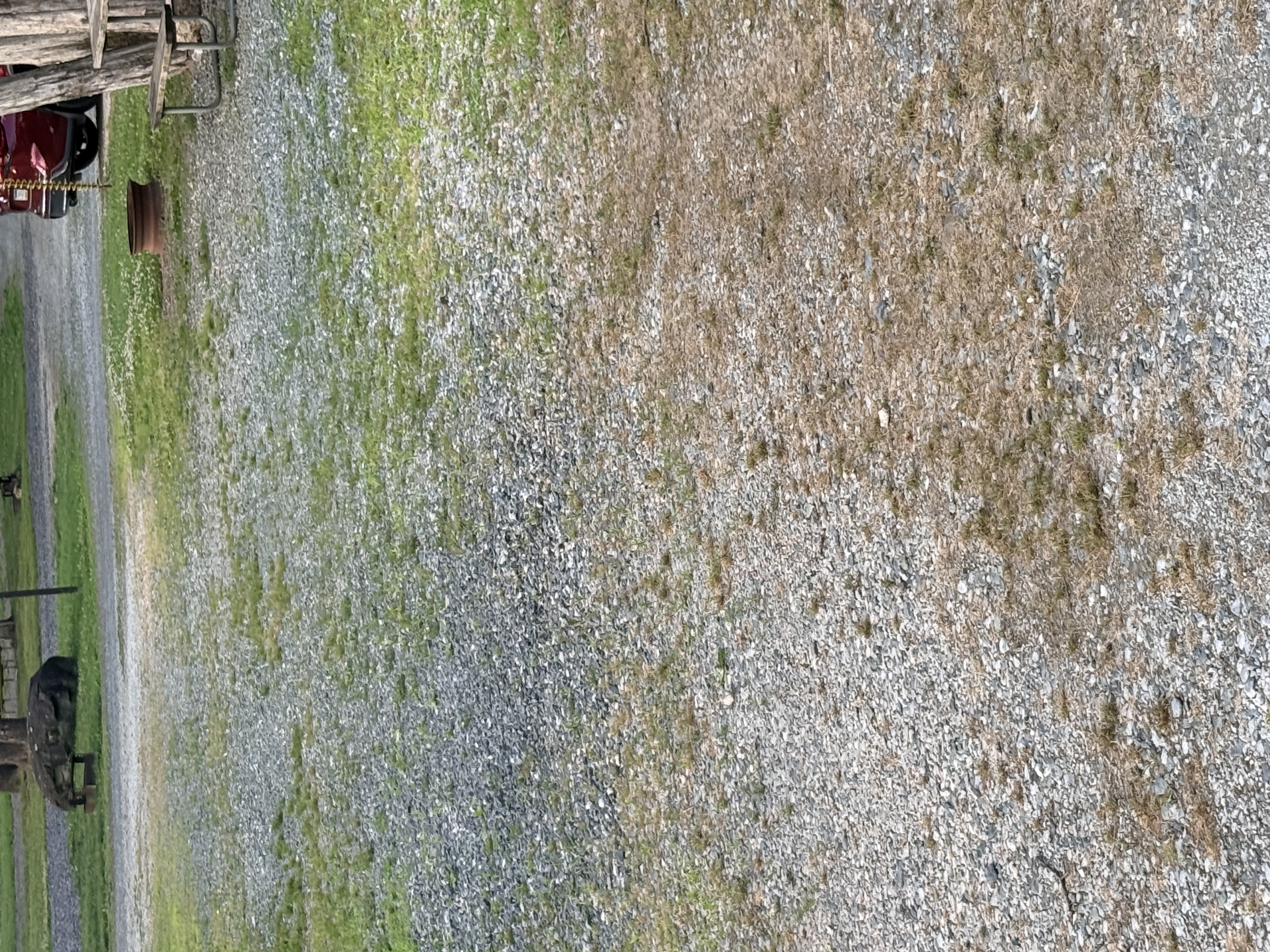 Grass and weeds growing in the gravel on the pad