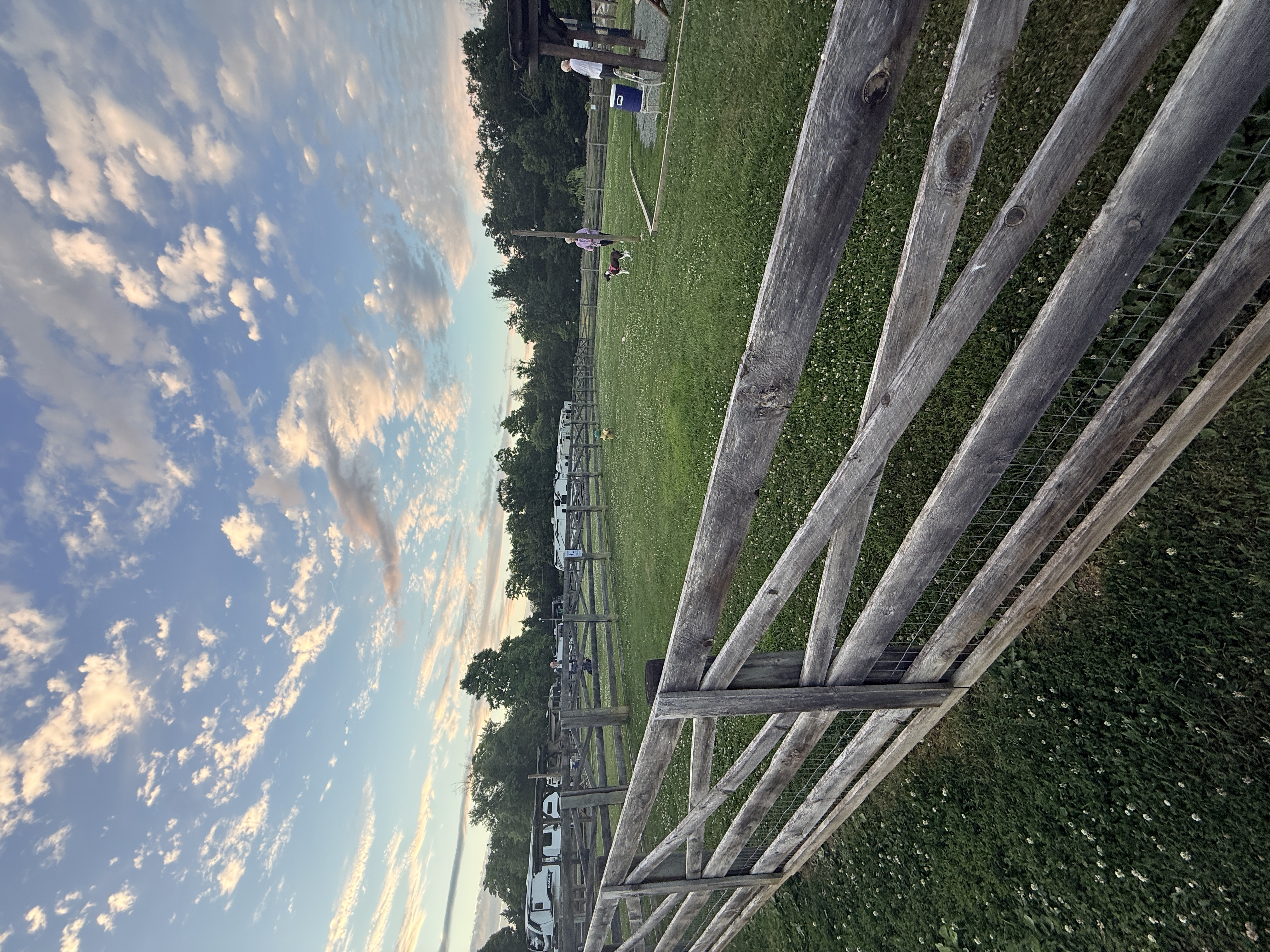Dog Park