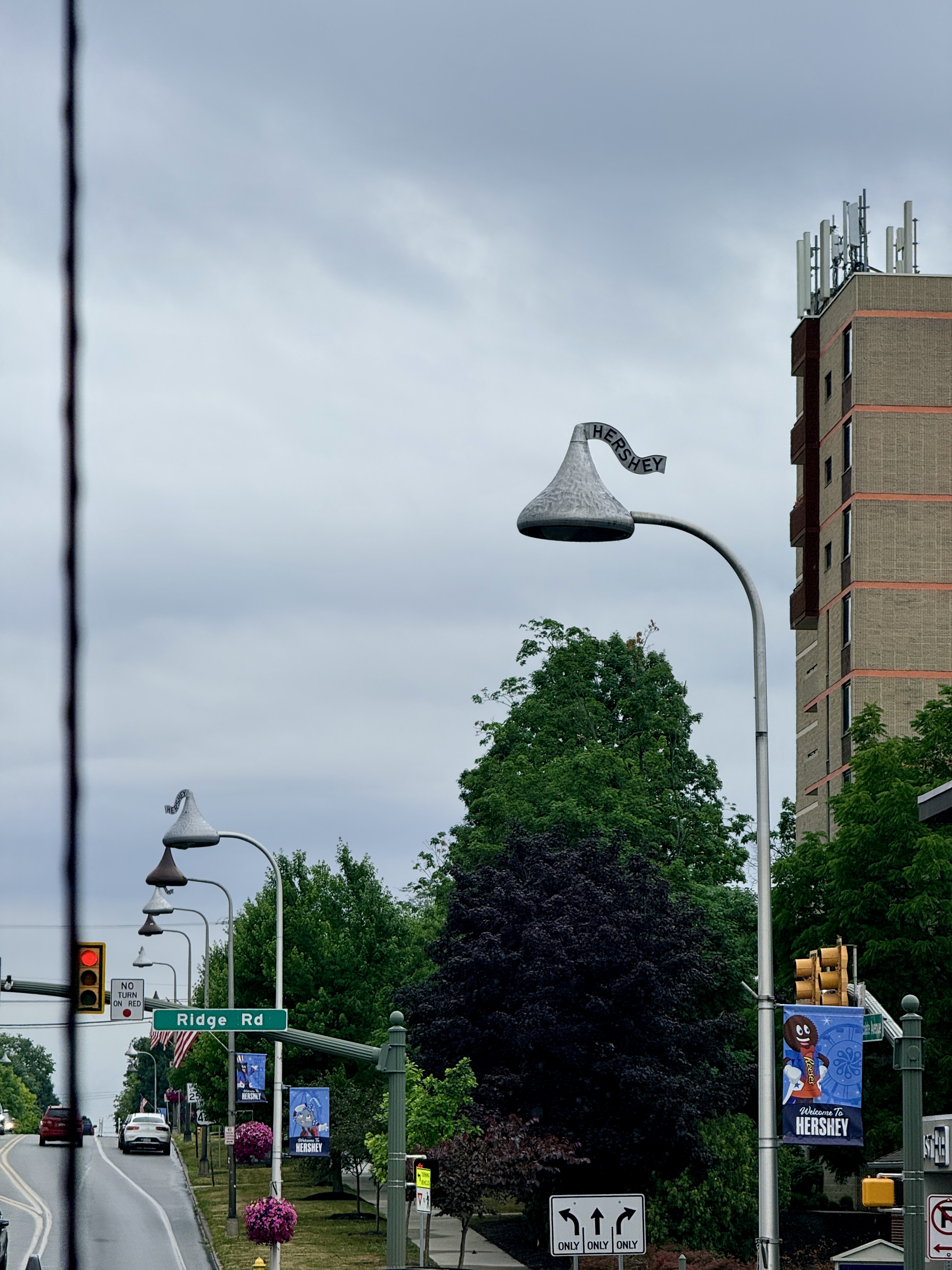 Hershey Street LIghts are all Hershey Kisses