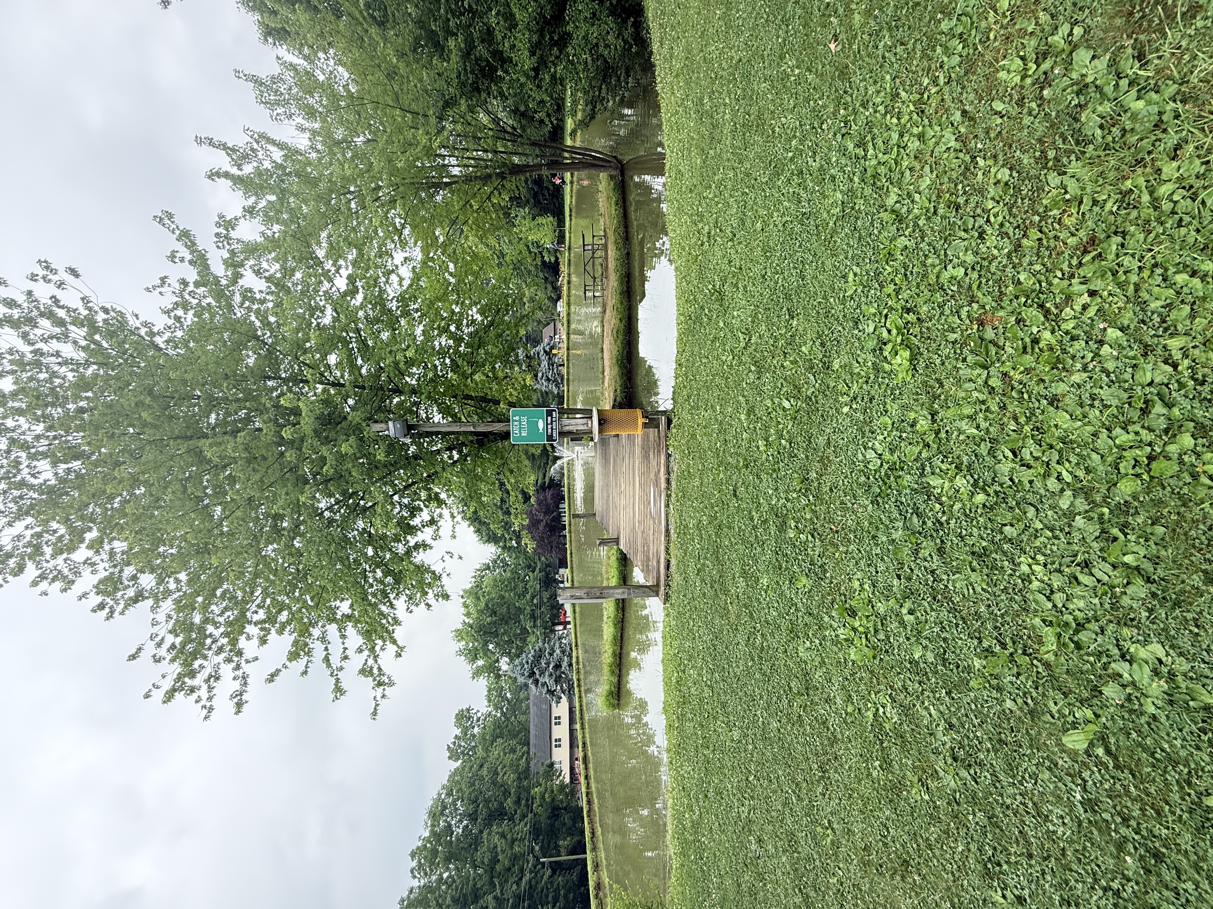 Fishing Pond
